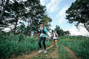 BIB: 
                            <button type="button" onclick="openModal(26039138)" class="btn btn-primary btn-sm float-right btn-popup" data-toggle="modal" data-target=".modal-high-quality">
                        <i class="fas fa-shopping-cart"></i> Add to Cart
                    </button>
                                            <button type="button" onclick="isThisMe(26039138, true)" class="btn btn-success btn-sm float-right btn-popup btn-isme hidden" data-toggle="tooltip" data-placement="bottom" title="นี่คือรูปของคุณใช่ไหม คลิกที่นี่เพื่อเอาเข้าอัลบั้ม">
                        <i class="fas fa-plus"></i> Add to album
                    </button>
                    <button type="button" onclick="isThisMe(26039138, false)" class="btn btn-warning btn-sm float-right btn-popup btn-isnotme hidden">
                        <i class="fas fa-ban"></i> Remove from album
                    </button>